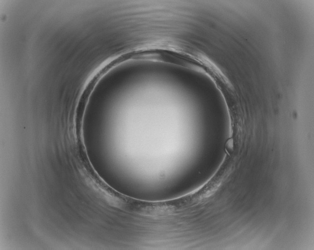 X0000080750884200612151312
