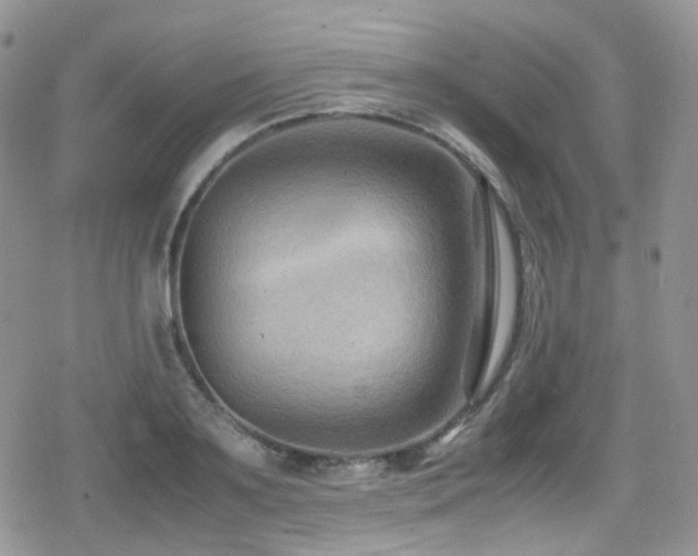 X0000080750891200612151311