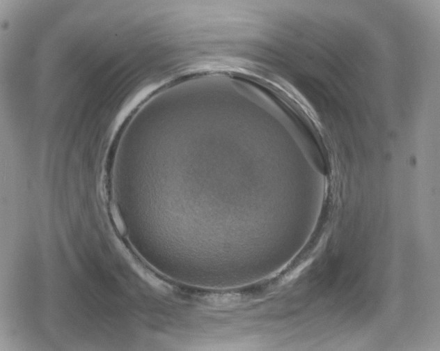 X0000080750893200612151311