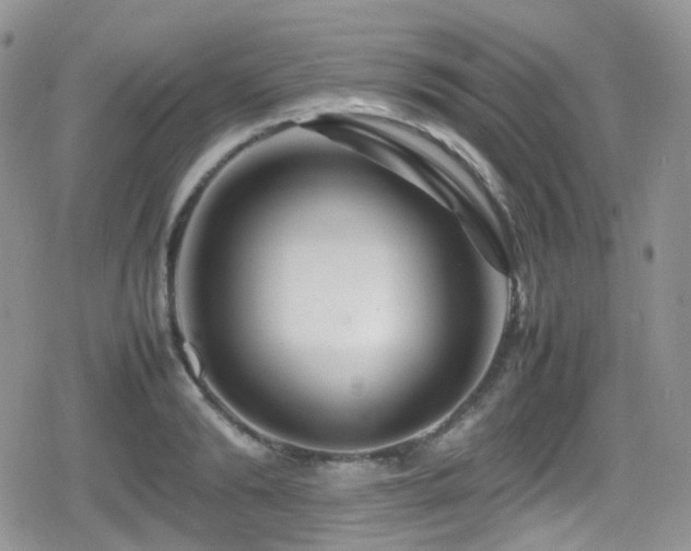 X0000080750894200612151311