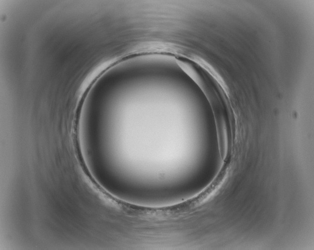 X0000080750901200612151311