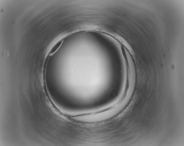 X0000080750904200612151311