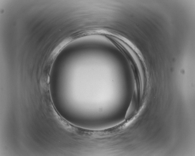 X0000080750905200612151311