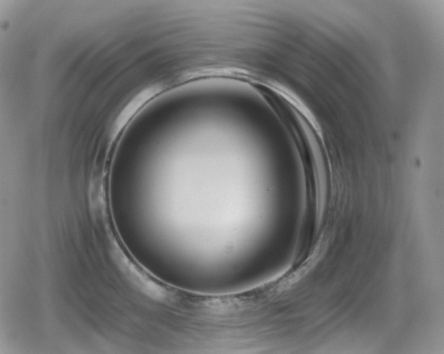 X0000080750906200612151311
