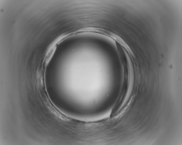 X0000080750908200612151311