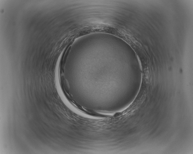 X0000080750916200612151310