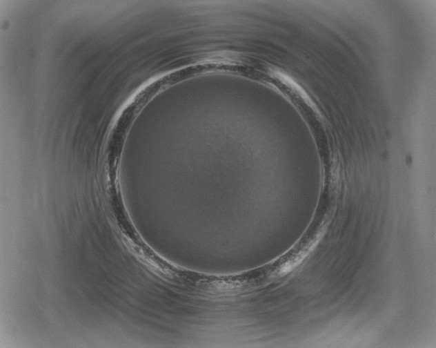 X0000080750923200612151311