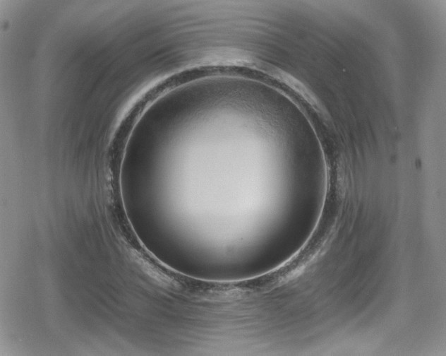 X0000080750926200612151311