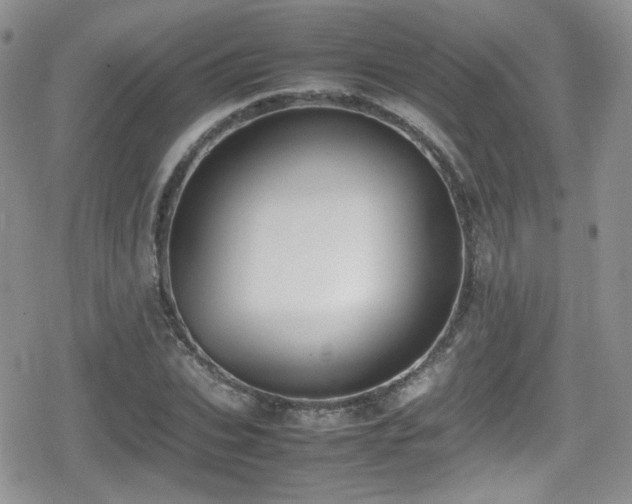 X0000080750927200612151311