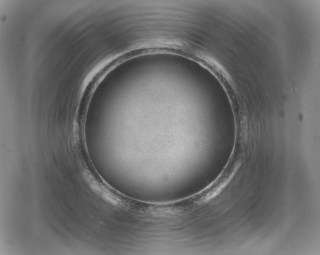 X0000080750928200612151311