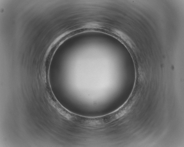 X0000080750931200612151311