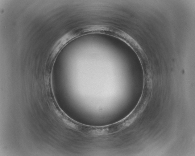 X0000080750937200612151311
