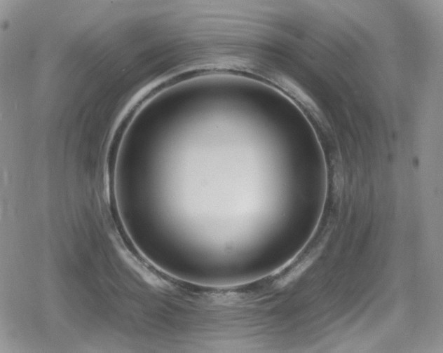 X0000080750940200612151311