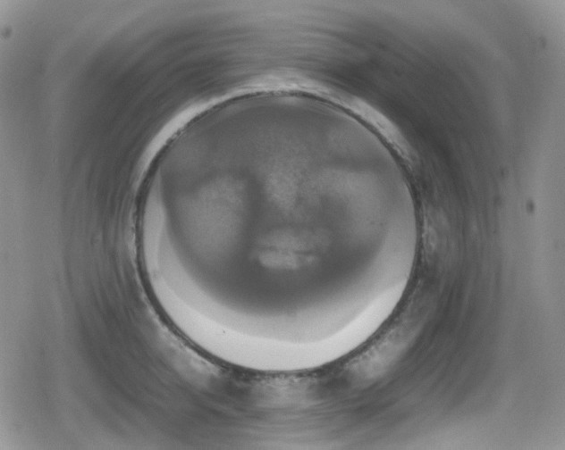 X0000080750950200612151311