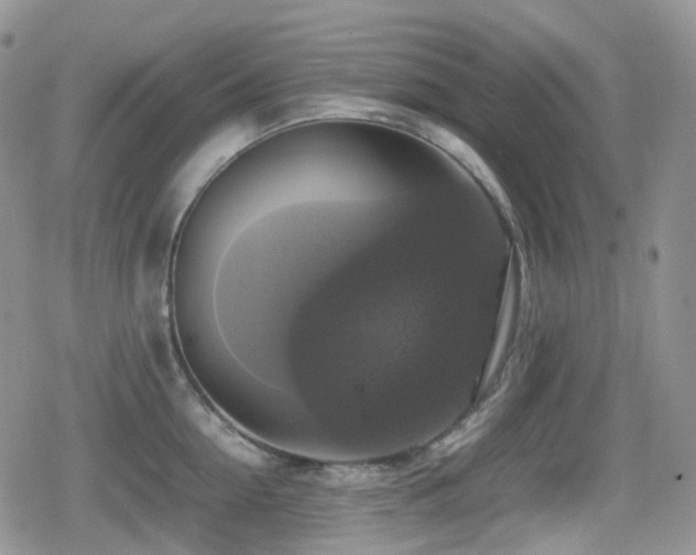 X0000080750954200612151311