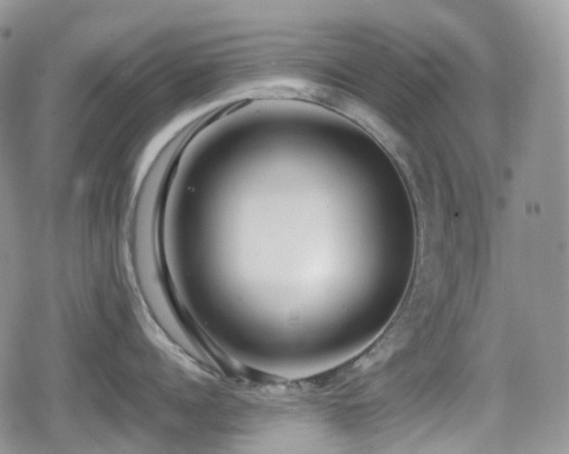 X0000080750960200612151311