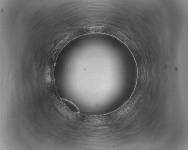 X0000080750962200612151310