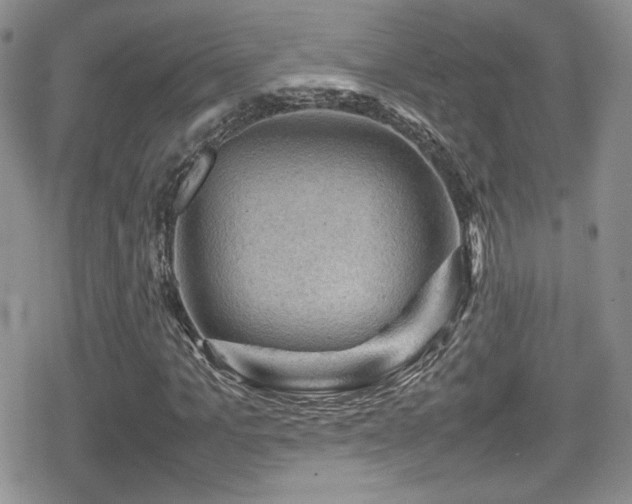X0000080750965200612151310