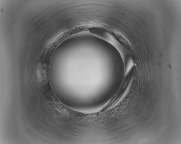X0000080750968200612151310