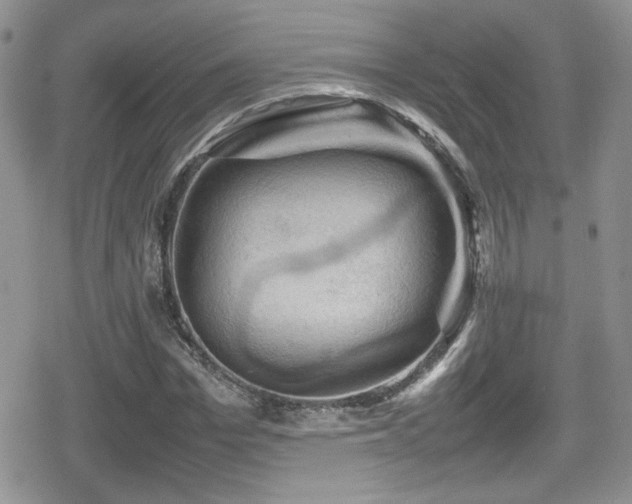 X0000080750969200612151310