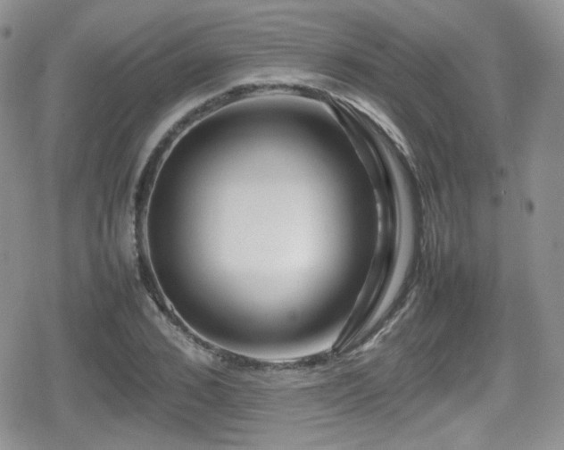 X0000080750976200612151310