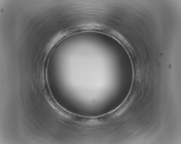 X0000080750986200612151310