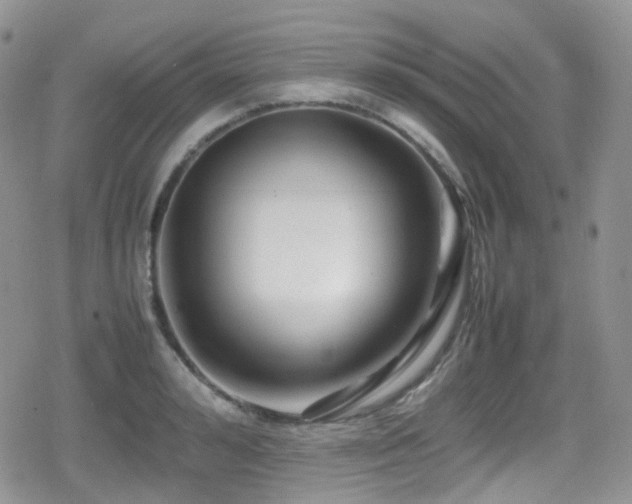 X0000080750992200612151310