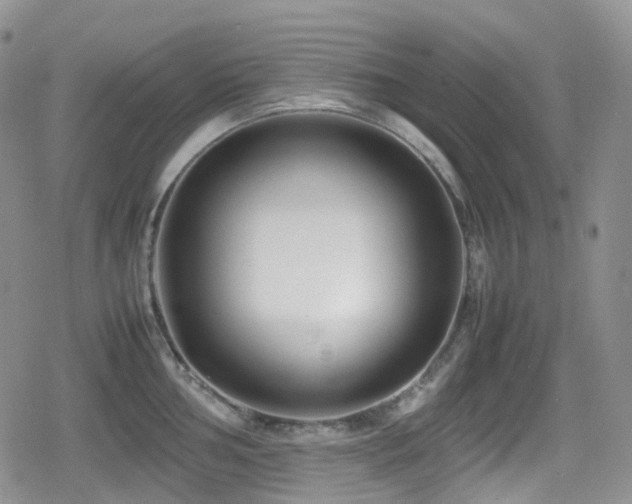X0000080751002200612151310