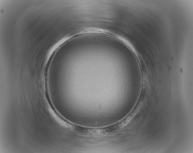 X0000080751003200612151310