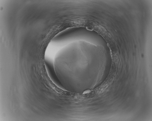 X0000080751009200612151309