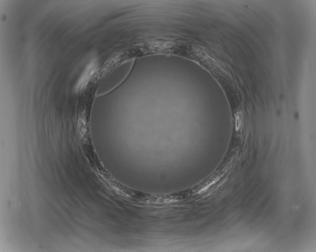X0000080751011200612151309