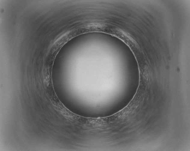 X0000080751015200612151309