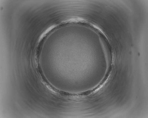 X0000080751018200612151309