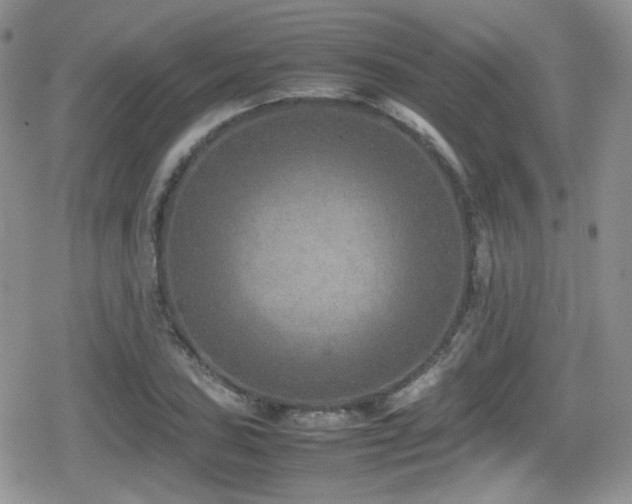 X0000080751027200612151309