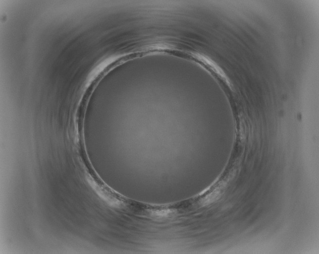 X0000080751031200612151309