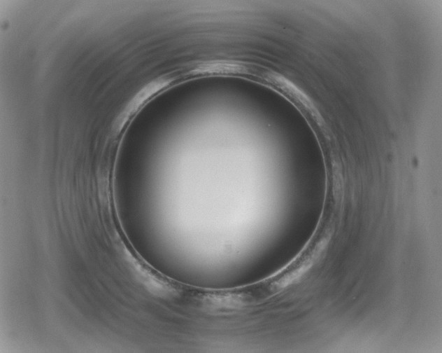 X0000080751041200612151309