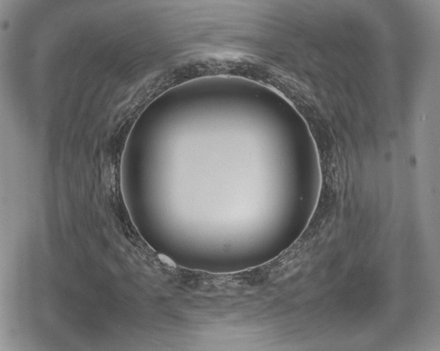 X0000080751061200612151309