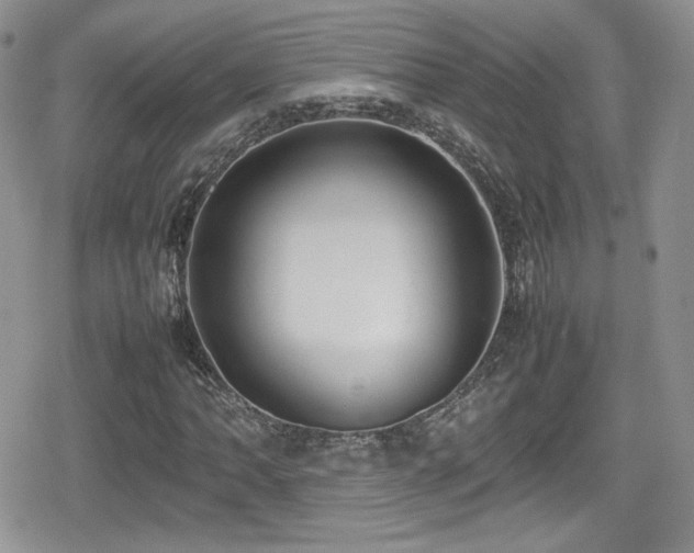 X0000080751062200612151309