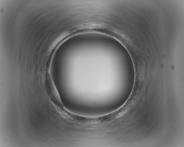 X0000080751073200612151309