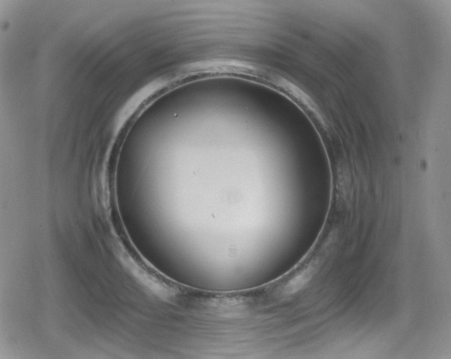 X0000080751082200612151308