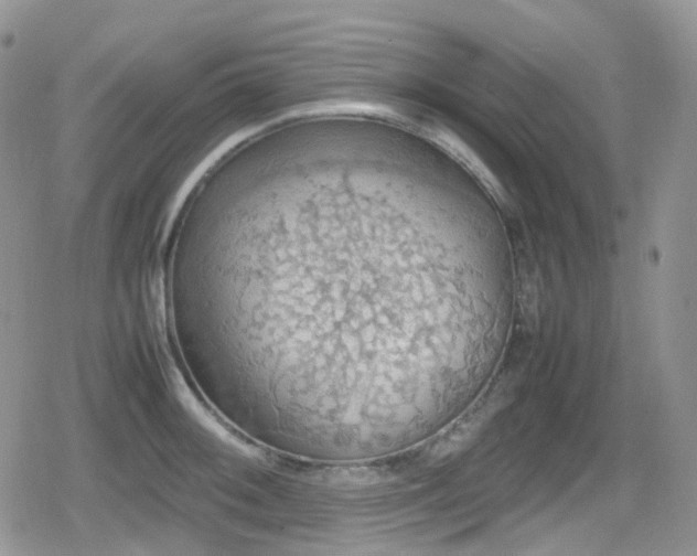 X0000080751092200612151308