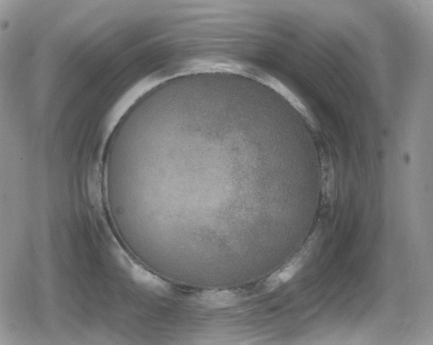 X0000080751094200612151308