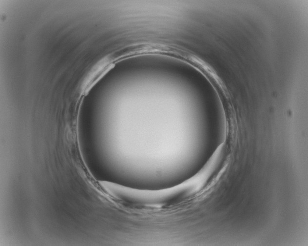 X0000080751097200612151308