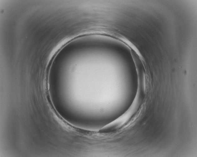 X0000080751101200612151308