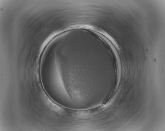 X0000080751102200612151308