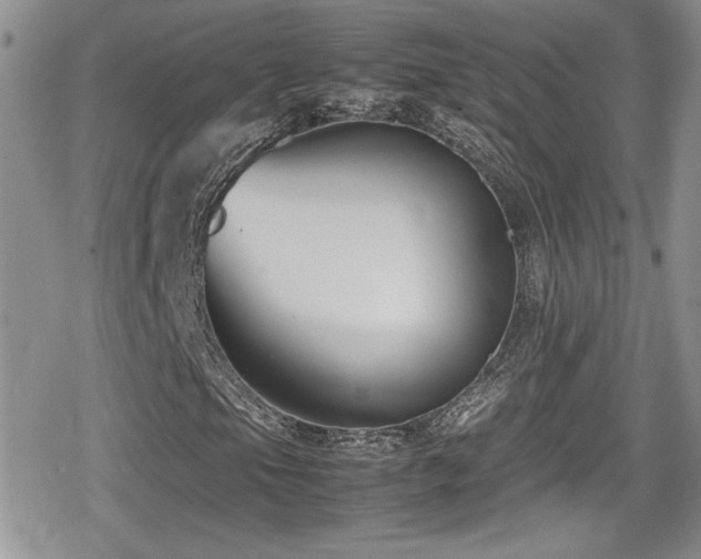 X0000080751105200612151307