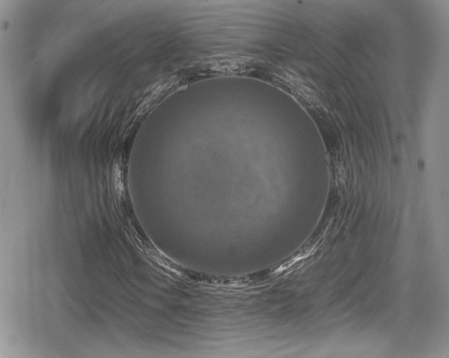X0000080751106200612151307