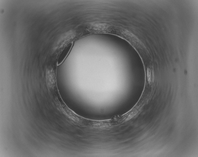 X0000080751107200612151307