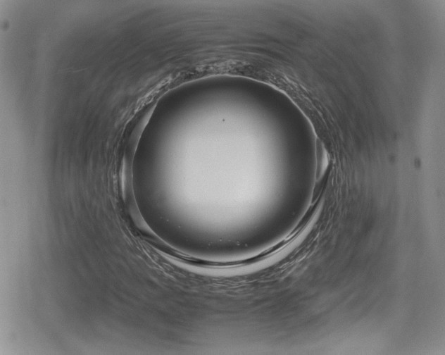 X0000080751109200612151307