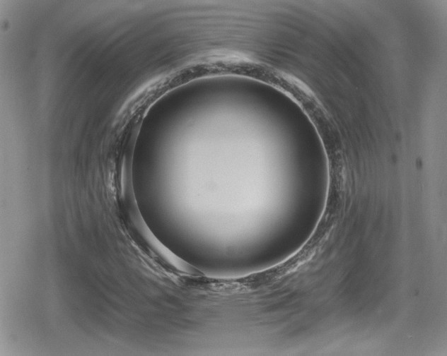 X0000080751112200612151307